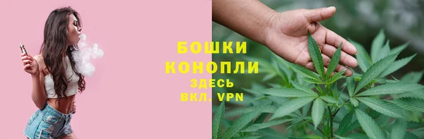 мет Арсеньев