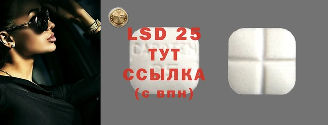 прущие крисы Аркадак