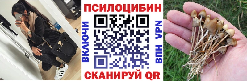 что такое   Осташков  Галлюциногенные грибы Cubensis 